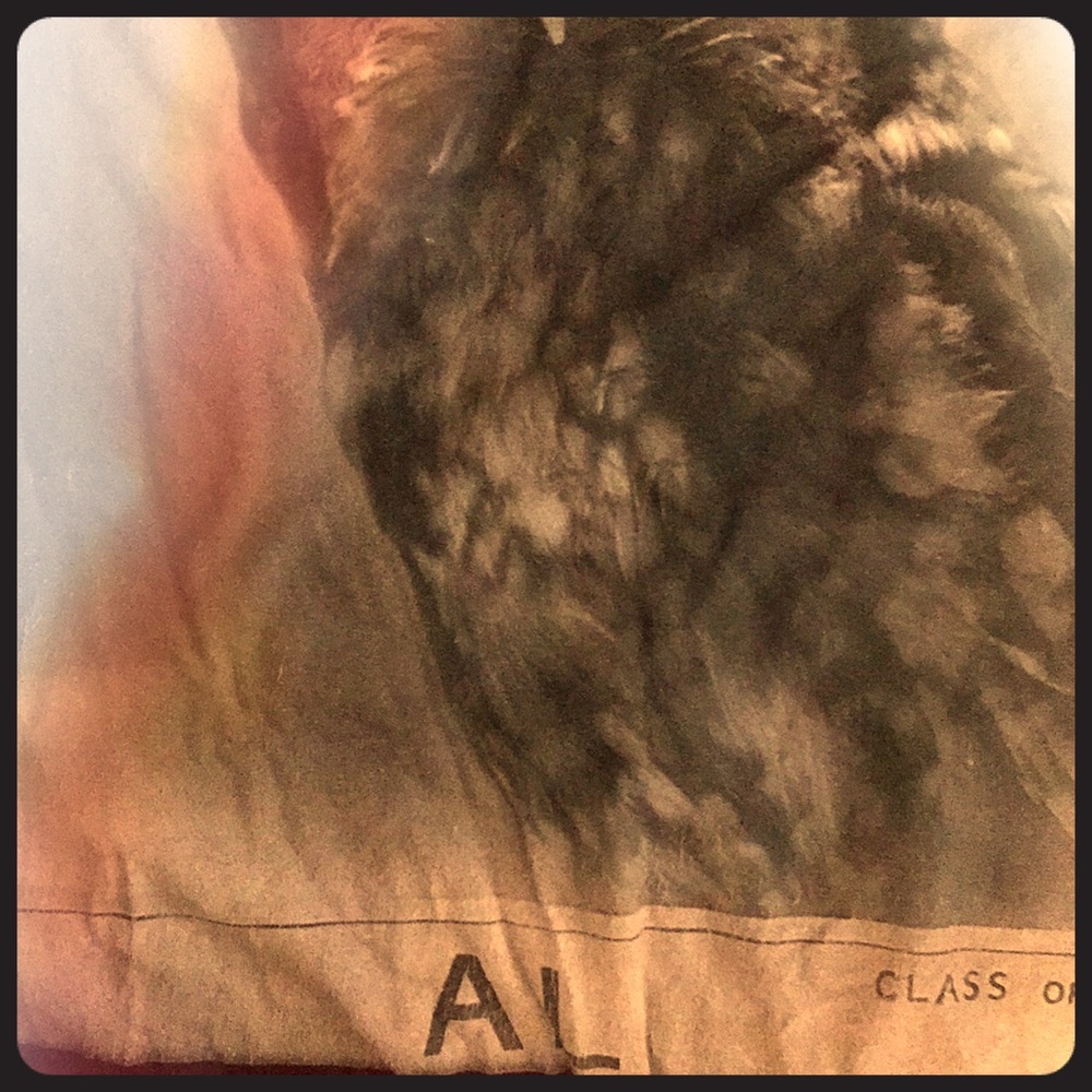 Ae T Shirt
